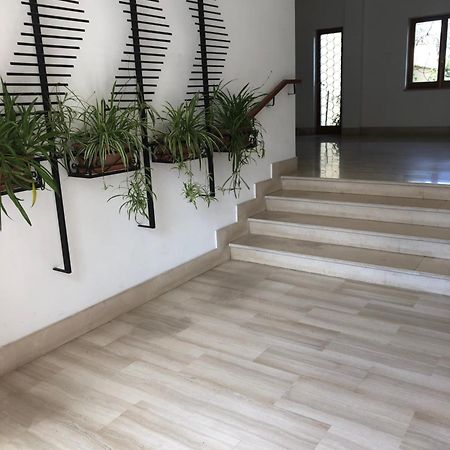 Appartamento Le Zagare Península Sorrentina Exterior foto